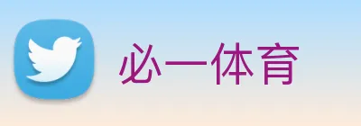 必一体育 Logo